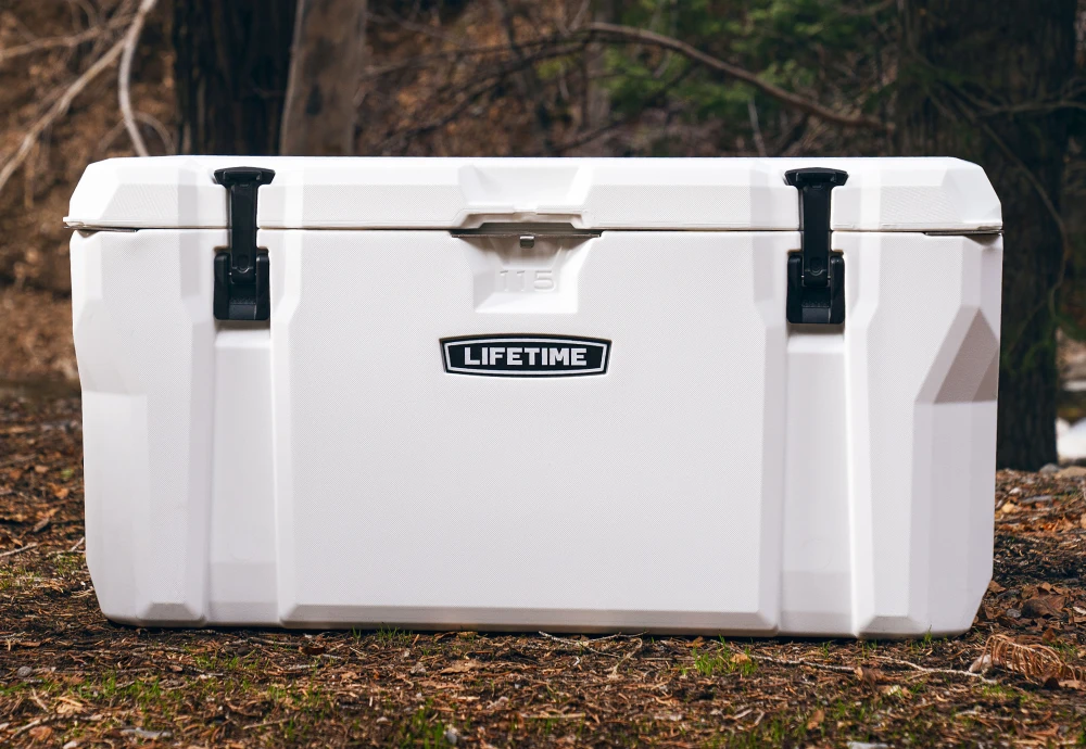 outdoor party cooler ideas