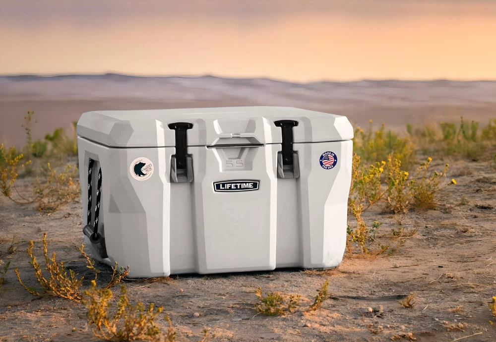 outdoor party cooler ideas