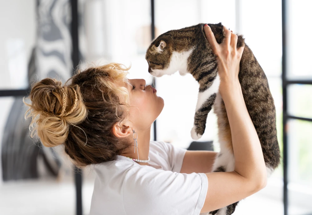 best indoor camera for pets