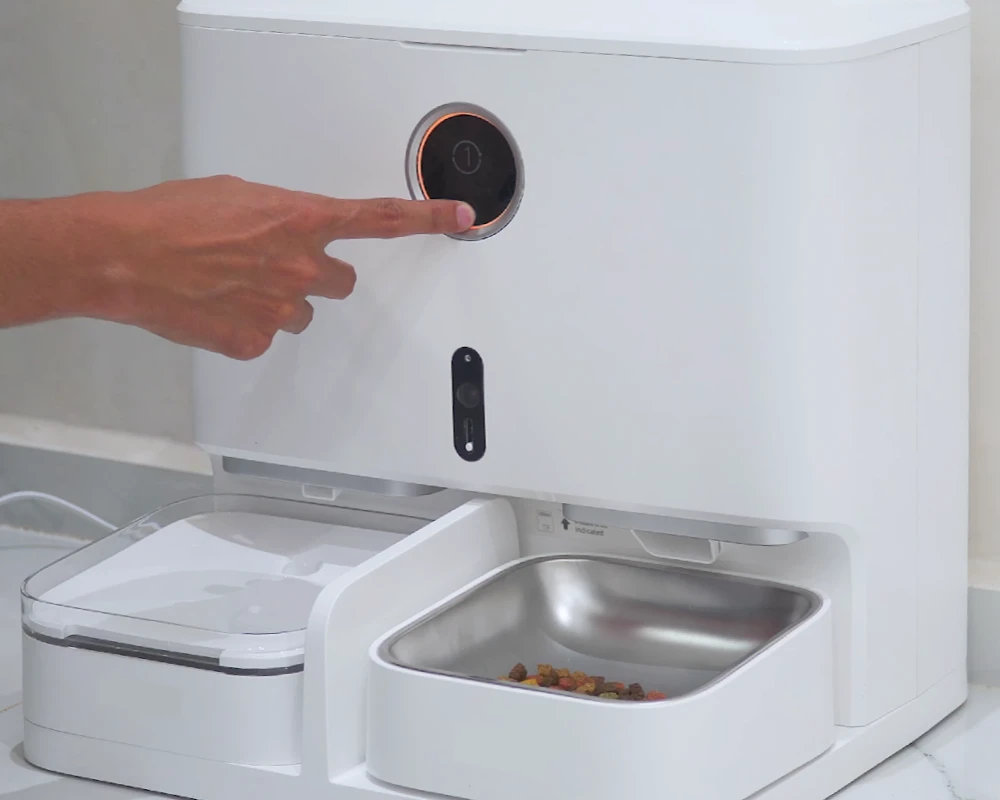 pet safe automatic feeder