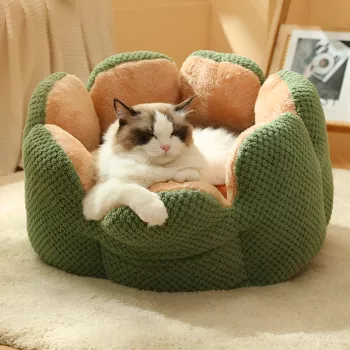 Cactus Flower Pet Bed Guide: Size, Comfort & Care